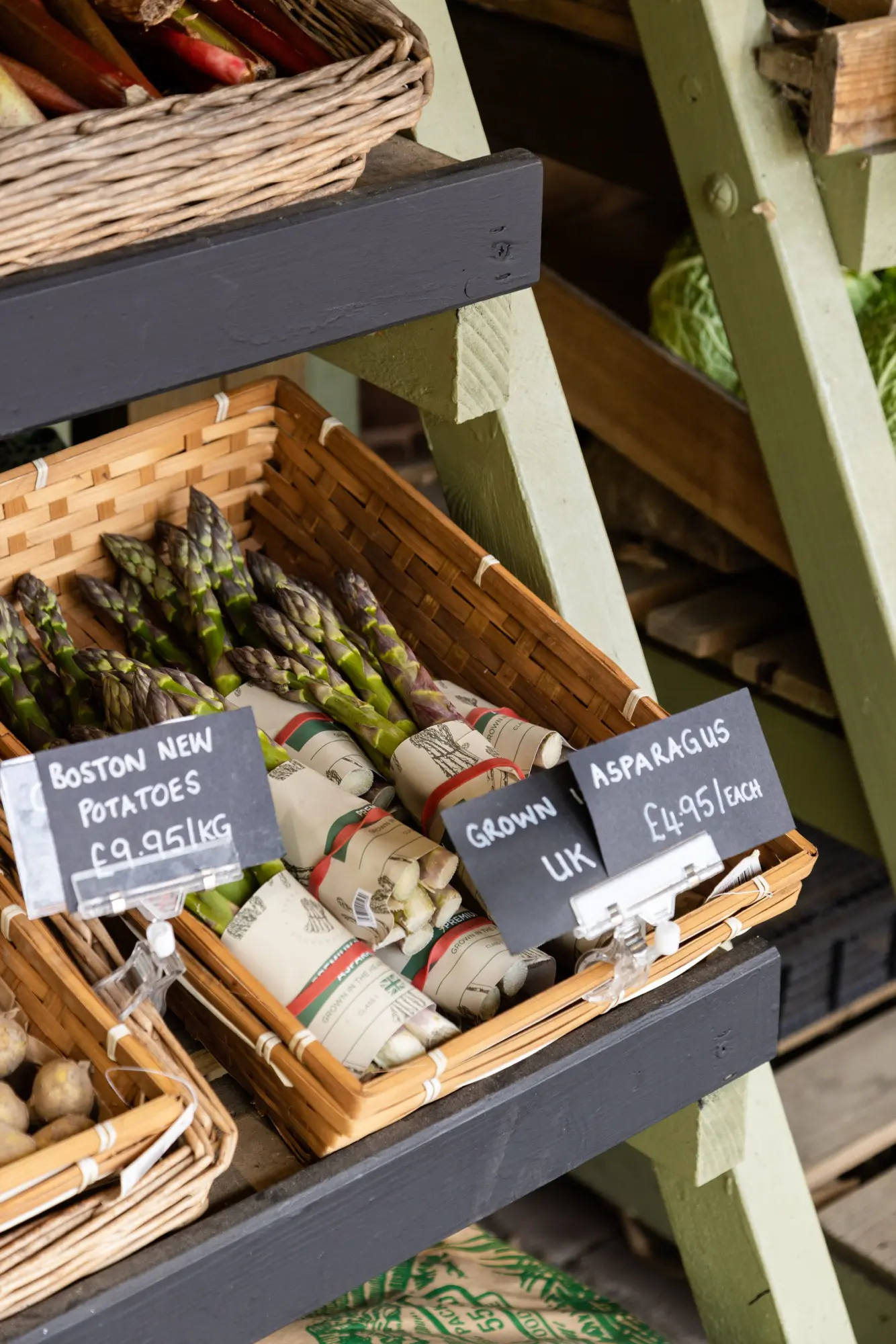 WeAreWildings-HollyFarrier-9-2000px