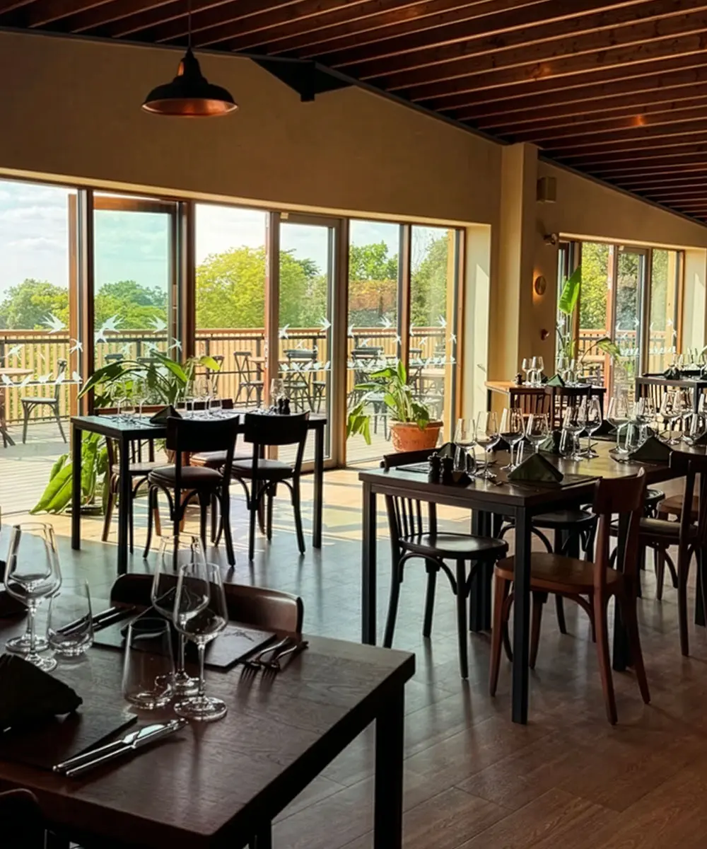 WAW-Restaurants-preview2